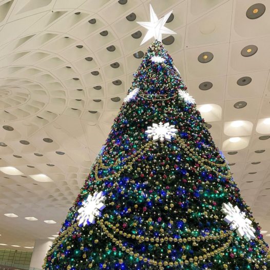 Mumbai Airport Christmas Tree