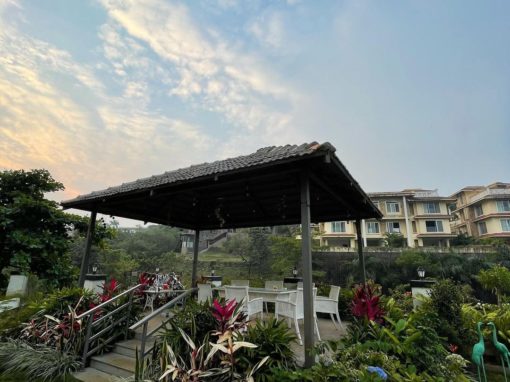 The Bark - An Art Hotel